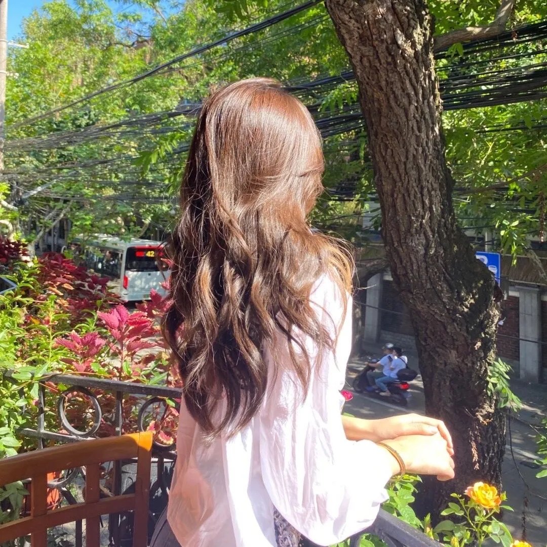 女孩的灵缇犬